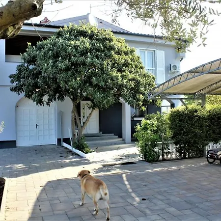 Studio In Zaton Zadar With Air Conditioning Wifi 3608-3 *